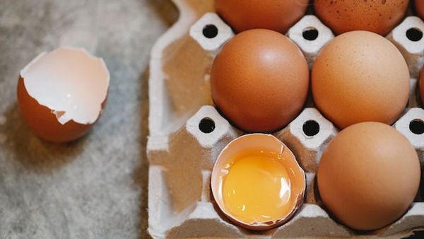 Cara Buat Pupuk dari Cangkang Telur untuk Tanaman Agar Tumbuh Subur