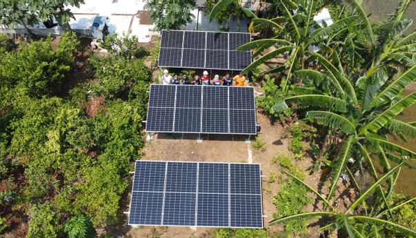 Pertamina Keren! Desa Energi Berdikari Dorong Ekonomi Petani Jamur Karawang
