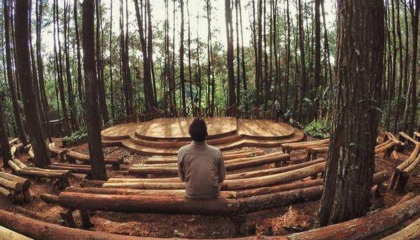 Kesegaran Hutan Pinus Pengger dan Rute Menuju Lokasi