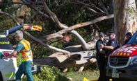 Kabar Duka, Mahasiswi Indonesia Meninggal usai Tertimpa Pohon Tumbang di Australia