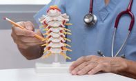 Belajar Biologi! Mengenal Fungsi Tulang Leher Manusia