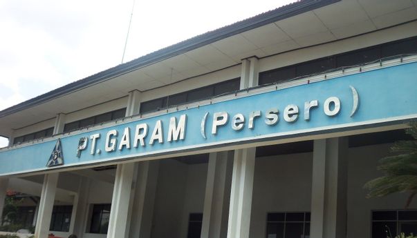 Menghadap DPR RI, PT Garam: Harga Garam Lokal Turun