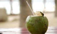 Jangan Terlalu Banyak, Ini Efek Negatif Minum Air Kelapa Muda Secara Berlebihan untuk Kesehatan