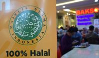 Hoax or Fakta: Wajan dan Kulkas Punya Sertifikat Halal, Begini Penjelasan MUI
