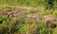 Menyeramkan, Jebakan Tikus Tewaskan Satu Keluarga di Bojonegoro