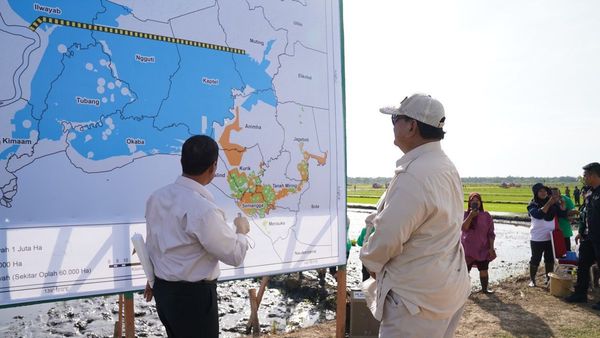 Prabowo Pilih Kunker Perdana ke Merauke, Tinjau Progres Program Cetak 1 Juta Hektare Sawah