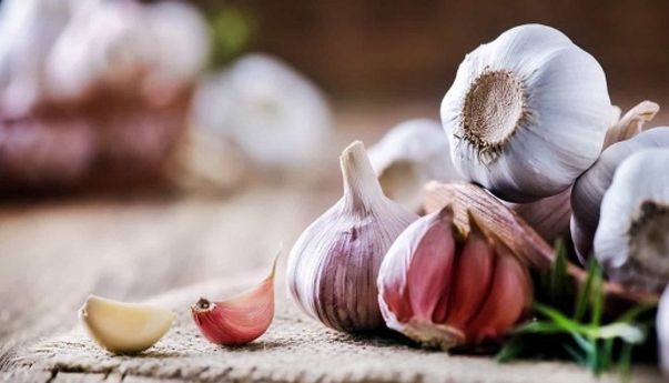 Inilah Trik Menyimpan Bawang Putih Agar Awet dan Tidak Cepat Busuk