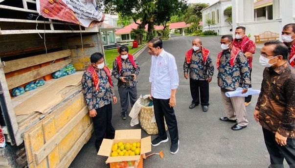 Ramai Perkara 3 Ton Jeruk yang Didapat Jokowi dari Petani, Faldo: “Kita Ganti Bayar, Bukan Malak Gratisan”