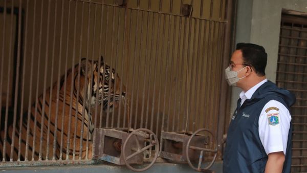 BPK Temukan Hal Mencurigakan di Kantornya Anies Baswedan, Setelah Diperiksa Ada Pemborosan Saat Beli Masker