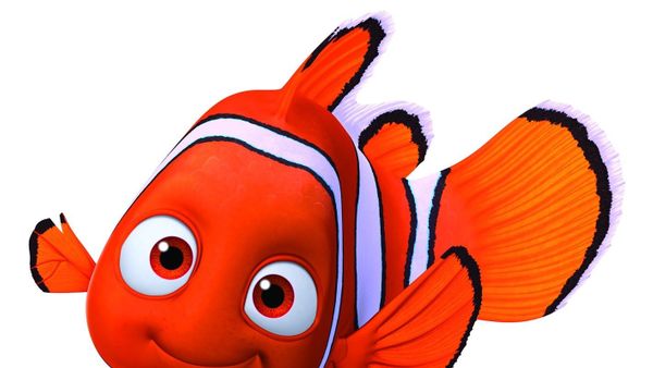 Mengungkap Alasan Kenapa Ikan Nemo Bergaris Tiga