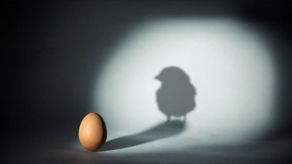 Ilmuwan Ini Pecahkan Teka-teki yang Tak Pernah Terjawab Ayam atau Telur Duluan?
