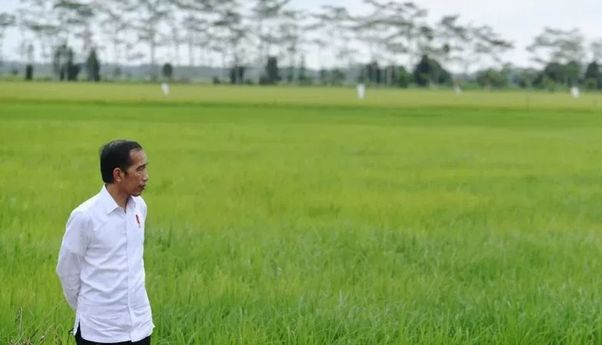 Ditanya Soal Kemungkinan Jadi Wantimpres, Jokowi: Saya Mau Pulang ke Solo