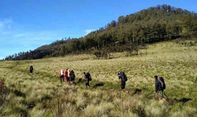 Angkernya Gunung Lawu, Dzawin Nur Ungkap Pernah Dengar Suara Delman dan Tembang Saat Pendakian