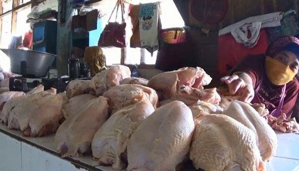 Penurunan Harga Daging Ayam Picu Deflasi Agustus 2020