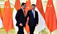 Jokowi Temui Xi Jinping, Ternyata Ini ‘Harta Karun’ yang Paling Diincar China di Indonesia Dibanding Negara Lain