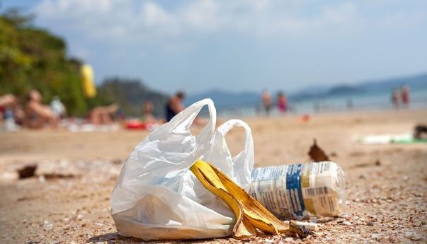 Apa yang Dirasakan Penemu Kantong Plastik jika Masih Hidup?