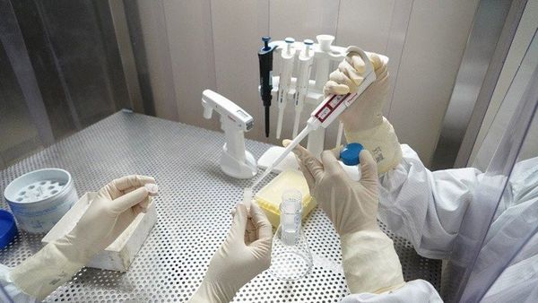Khusus Bahan Baku Vaksin Covid-19, Pemerintah akan Bebaskan Pajak