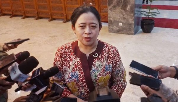 Soroti Beras Oplosan, Puan Minta Pemerintah Tindak Tegas Mafia Beras