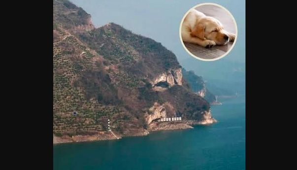 Viral Gunung di China Mirip Kepala Anjing, Langsung Jadi Destinasi Wisata Baru