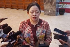 Soroti Beras Oplosan, Puan Minta Pemerintah Tindak Tegas Mafia Beras