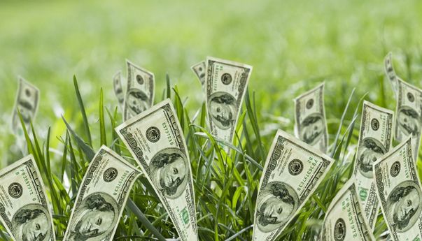 Ingin Belajar Investasi Saham? Coba Belajar Lewat Sini