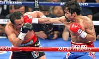 Tak Ada Aksi Manny Pacquiao di Atas Ring Tinju Tahun Ini