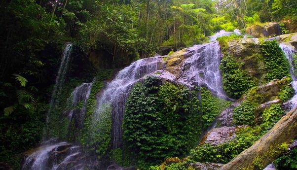 5 Rekomendasi Air Terjun di Jambi dengan Pemandangan Menakjubkan