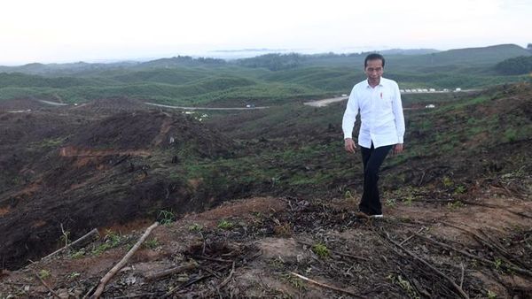 Jokowi Benarkan Ada Bagi-Bagi Proyek Dipembangunan Ibu Kota Baru