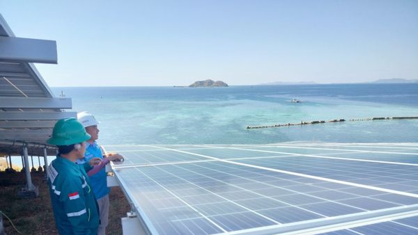 Pengembangan PLTS Terapung di Papua: Potensi Besar Energi Terbarukan untuk Masa Depan