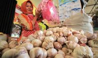 Stok Bawang Putih Langka di Pasaran, Pemprov DKI Kembali Lakukan Impor Bawang Putih