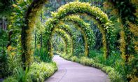 Mantap! Inilah Daftar Tempat Wisata Singapura Gratis untuk Liburan Seru di Luar Negeri