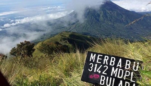 Hore! Jalur Pendakian Gunung Merbabu Resmi Dibuka Kembali