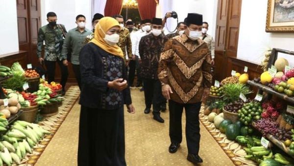 Ketika Gubernur Khofifah Kupas Nanas PK-1 dan Diberi Khusus ke Prabowo Subianto