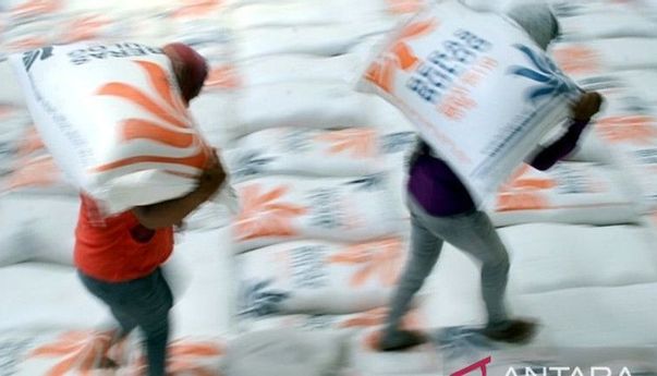 Stok Beras Tinggal 594 Ribu Ton, Negara Tugaskan Bulog Impor Beras
