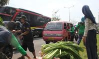 Berita Jateng: Petani di Magelang Beri 'Giveaway' Sayuran pada Warga