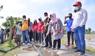 Sukoharjo Memburu Tikus