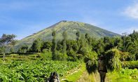 Pengumuman! Jalur Pendakian Gunung Sindoro Ditutup Mulai Tanggal 4 Januari