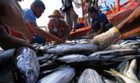 Berita Terbaru di Jogja: Klaster Penjual Ikan Karangmojo, Membuat Gua Pindul Belum Dibuka