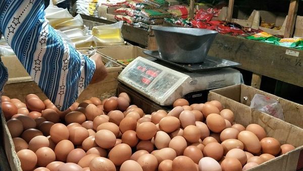 Daging dan Telur Ayam Bisa Jadi Penyumbang Inflasi Utama Juni 2020
