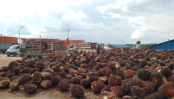 Energi Terbarukan Berbasis Limbah Sawit, Muba dan Kadin Sumsel Ukir Sejarah Baru