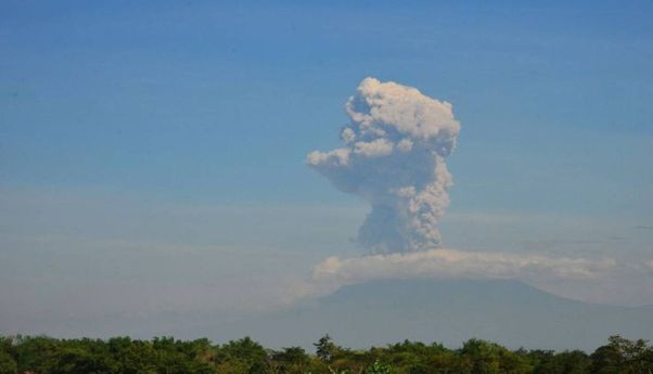 Update Gunung Merapi: Tebing Lava yang Terbentuk Tahun 1954 Runtuh