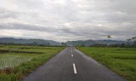 Petani di Jogja Kesulitan Mencari Mata Pencaharian, Kok Bisa?