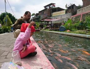 Budidaya Ikan di Selokan ala Kampung Mrican Yogyakarta