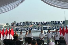 Jokowi Resmikan Percontohan Budidaya Ikan Nila di Karawang: Permintaan Pasar Dunia Sangat Besar