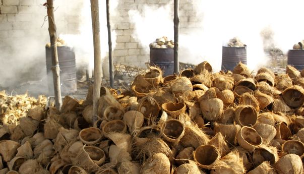 Ini Kerajinan dari Tempurung Kelapa yang Berpeluang Bisnis Menjanjikan