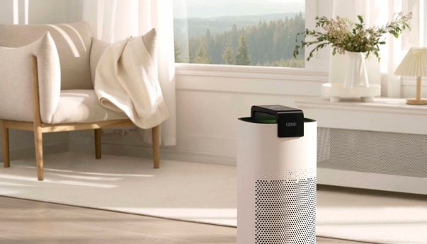 Serupa Namun Tak Sama, Inilah Perbedaan Air Purifier, Humidifier, dan Diffuser