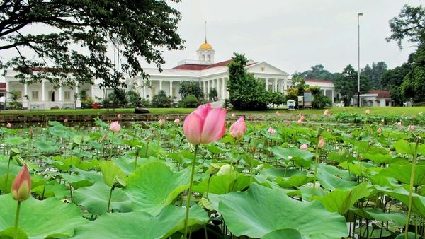 5 Tempat Wisata Dekat Stasiun Bogor yang Bisa Dikunjungi dengan Jalan Kaki