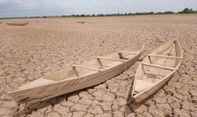 El Nino Picu Peningkatan Suhu di Provinsi Papua hingga 35 Derajat Celsius