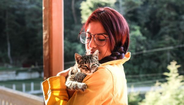 Ada Anabul di Rumah? Ketahui 8 Hal yang Sangat Disukai Kucing