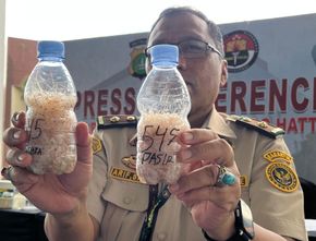 Polisi Gagalkan Penyelundupan 171 Ribu Benih Lobster di Bandara Soetta, 7 Orang Ditetapkan Tersangka